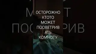 ОСТОРОЖНО В КОМНАТЕ МОЖЕТ БЫТЬ СВЕЖО!КАК НА УЛИЦЕ! #dog #funny #йорк #новости