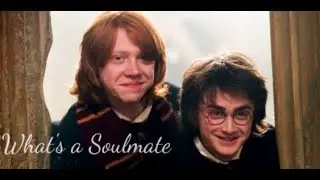 Ron and Harry - What's a Soulmate