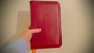 CBP Handsize Text Bible, Water Buffalo??!