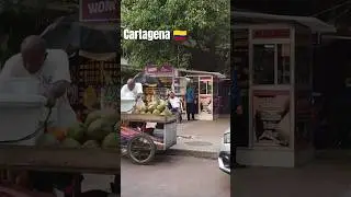 Walking street cartagena Colombia #walking#street#colombia#cartagenadeindias#shortsviral#travel#sub