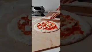 P&aacute; De Transfer&ecirc;ncia De Pizza Deslizante BAISHANG 🍕