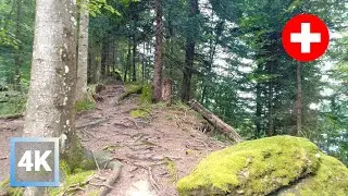 Serene &Auml;gerisee Hike 🇨🇭 Most Scenic Lake in Zug, Switzerland (4K HDR ASMR)