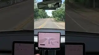 Failure to Turn Left on Green Signal #shorts