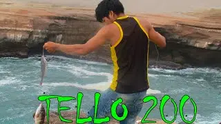 INTRO DE PESCA - TELLO 200