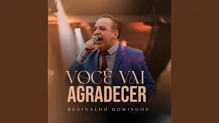 Você Vai Agradecer