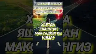 #music #beats #chill #artist #instrumental #uzbekistan #cat #vayne #sports #korsel