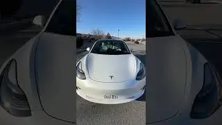 Finally Got My Tesla Model 3 Windows Tinted!