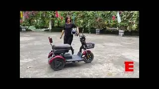 Hatasu Haru E-Bike