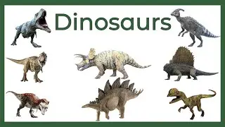 🦕 How to Pronounce Names of Dinosaurs in English
