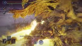 Elden Ring Nightreign Guardian Forever