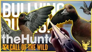 Epic DUCK Showdown on Revontuli Coast! | theHunter Call of the Wild