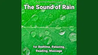 Rain Sounds