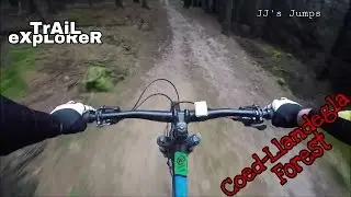 Coed Llandegla MTB, JJ's Jumps
