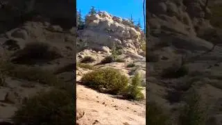 Some of the beautiful scenery I encounter while in the backcountry #explore #socal #scenicviews 📸⛰️