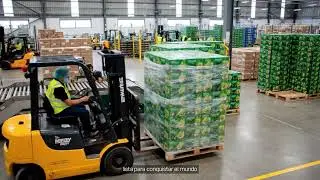 DP World: conectando la palta peruana con el mundo.