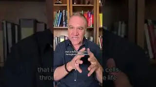 How to Boost Stem Cells Naturally for Repair, Recovery, and Longevity | STEMREGEN Explained
