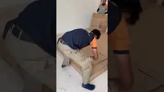 Moving Day with Tamam Movers