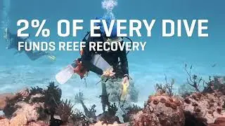 Key Dives, Islamorada - 2026 Readers Choice Awards