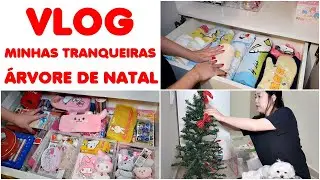 DESMONTANDO ÁRVORE DE NATAL - MINHAS TRANQUEIRAS E DESCANSO MERECIDO