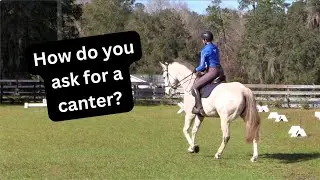 How do you ask for the canter?