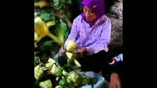 Dek sangke