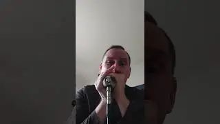 Easy Big Walter Horton Harmonica Improvisation El Chico Amp