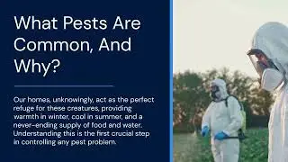 The Crucial Role of Pest Control in Healthy Living Spaces: A Comprehensive Guide