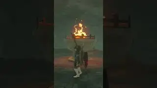 HOW TO GET THE HYLIAN SHIELD IN TOTK (location & puzzle) location spoilers