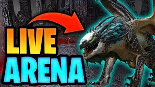 DRACOMORPH and Friends LIVE ARENA | RAID: SHADOW LEGENDS