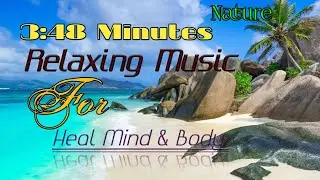 3:48 Minutes Best Sleeping Music l Meditation music l Relaxing Music #healingmusic #sleepingmusic