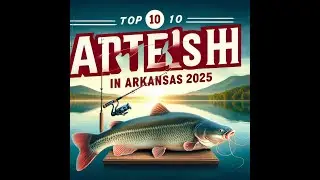 Top 10 Catfish Lakes in Arkansas 2025