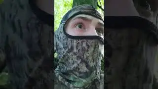 #connecticut #hunting #hunter #deerhunting  #crossbow #bow  #venison #Archery #outdoors #muzzy
