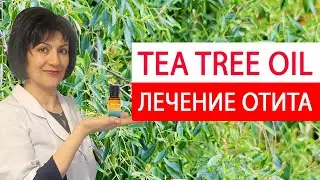 Масло чайного дерева. Доказательная медицина. Melaleuca alternifolia /Tea Tree Oil