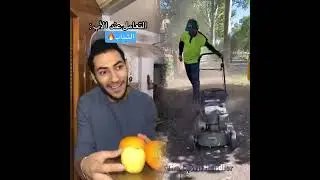 🤣👌👌👌2025 pov Must-Watch Crazy Clips Compilation #humor #fypシ #pov #fyp #foryou 😍😜