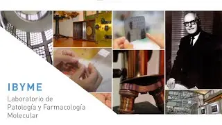 Lab. de Patolog&iacute;a y Farmacolog&iacute;a Molecular (IBYME)