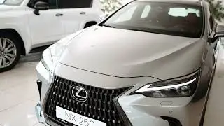 Обзор Lexus NX 2023 в комплектации Luxury / Лексус - Ставрополь