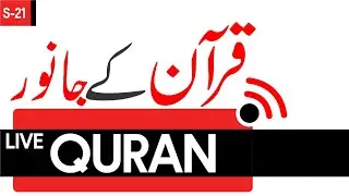 Animals Mentioned in the Quran | Surprising Facts & Hidden Meanings