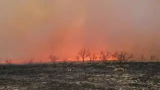 600 Acre Burn