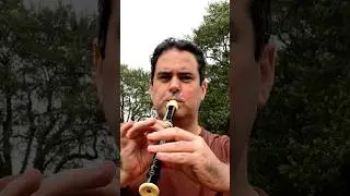 6.5 Reasons Recorders are the Best Instrument