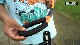 BURAQ 5 FT Dog Leash 🐕 | Perfect Length for Walks & Training!