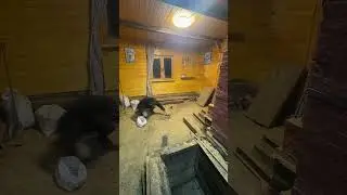 Вынос бруса. Часть вторая.