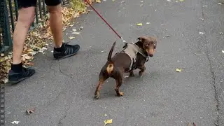 Slow Motion 