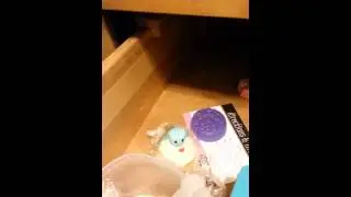Lush Storage