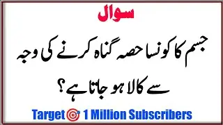 40+ Amazing General Knowledge Question in Urdu | Top Islamic Sawal Jawab | @Quiz With Sabir #023