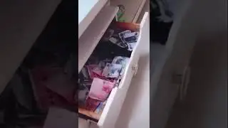 This trained crow brings money back to his owner