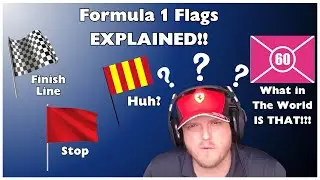 Understanding Formula 1's Flag System | Beginner's Guide | F1