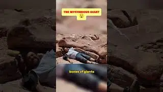 THE MYSTERIOUS GIANT SKELETON #shorts #discovery #fyp