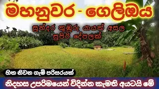 මහනුවර ගෙලිඔය සුන්දර කුබුරක් මායිමේ ඉමු | Land for sale in Gelioya Sri Lanka | Kandy Property