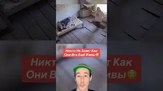 Никто Не Знает Как Они Все Ещё Живы!😳 #факты #shorts #человек #полиция