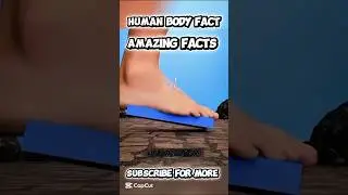 Shocking Human Body Facts You Didn&rsquo;t Know 😱 | Medical & Science Facts